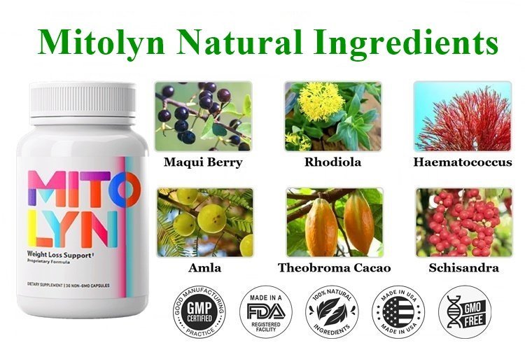 Mitolyn Ingredients