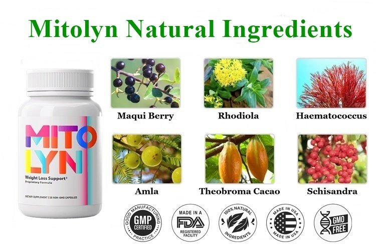 Mitolyn Ingredients
